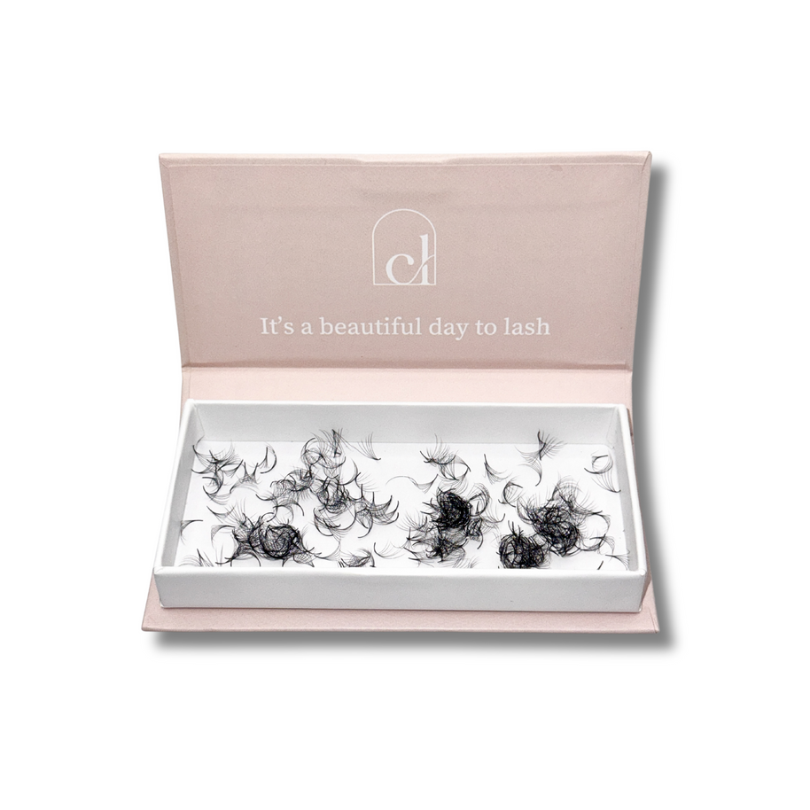 Promade 5D lashes | 1000 Fans image 2